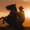 Silhouette of a cowboy on a rearing horse at sunset. Captures the essence of western life.