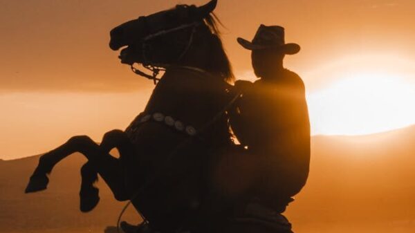 Silhouette of a cowboy on a rearing horse at sunset. Captures the essence of western life.
