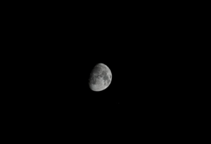 High-resolution image of the moon showcasing detailed craters and lunar features against a black backdrop.