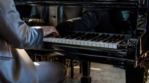 piano, keyboard, instrument, musical, musician, pianist, people, piano, pianist, pianist, pianist, pianist, pianist
