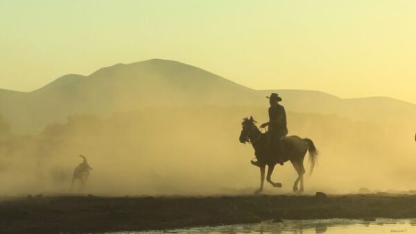 Silhouetted horse riders at sunset with misty mountain reflection in the lake.