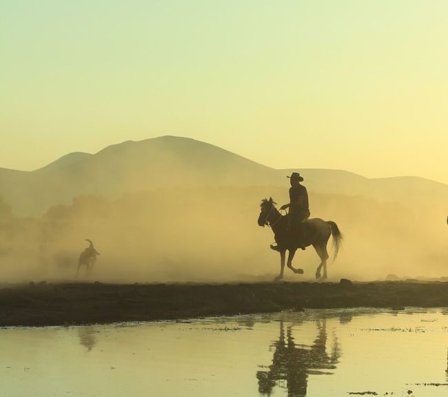 Silhouetted horse riders at sunset with misty mountain reflection in the lake.