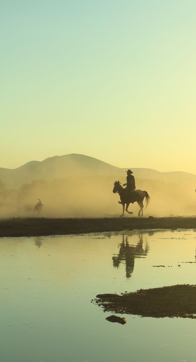 Silhouetted horse riders at sunset with misty mountain reflection in the lake.
