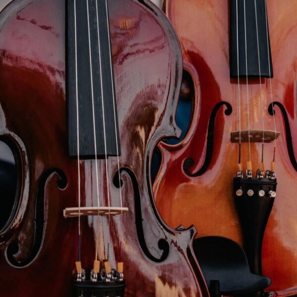 Detailed close-up of two violins showcasing their glossy wooden surfaces and strings.
