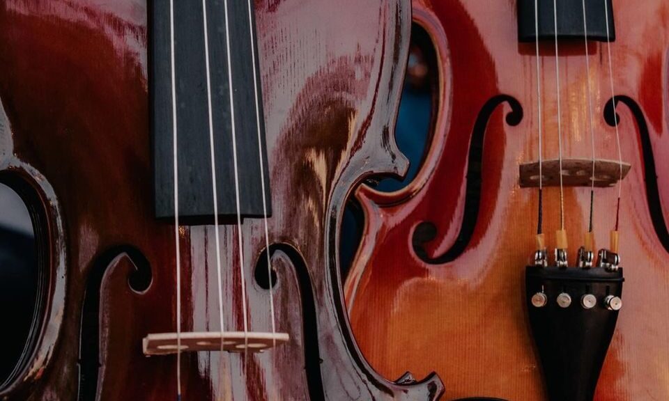 Detailed close-up of two violins showcasing their glossy wooden surfaces and strings.
