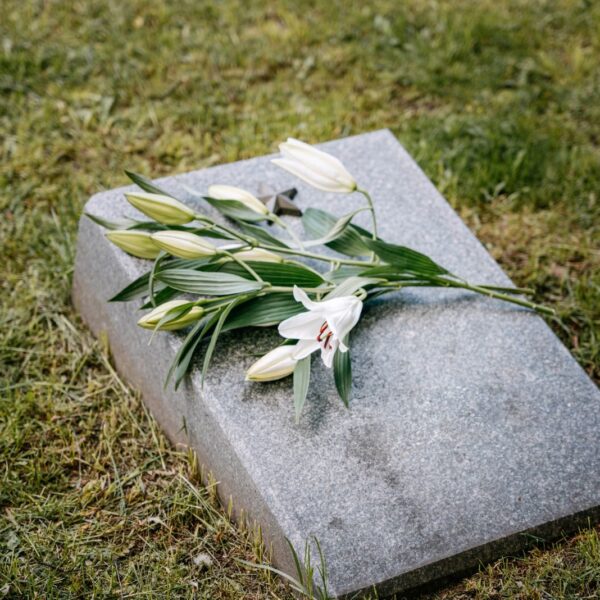 White lilies placed on a gravestone in a serene cemetery setting.