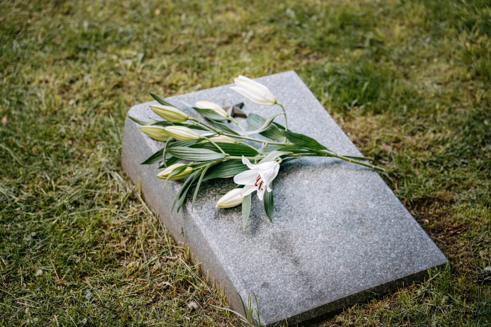 White lilies placed on a gravestone in a serene cemetery setting.