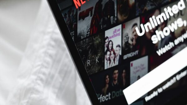 laptop, netflix, entertainment, technology, movies, watch, leisure, screen, shows, fun, netflix, netflix, netflix, netflix, netflix