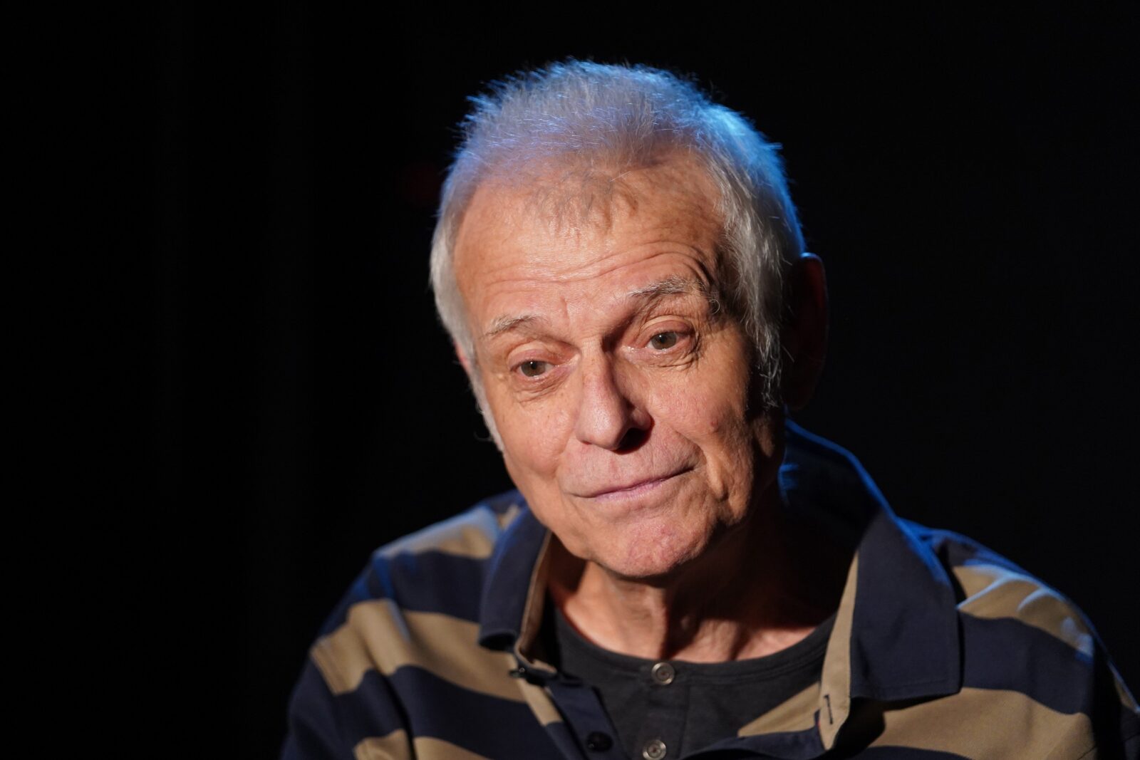 Branko Milićević Kockica