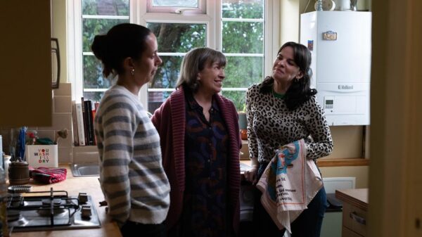 San Sebastian festival uključuje filmove Mikea Leigha, Nicole Garcia i Pabla Larraina u takmičenje – San Sebastian film festival