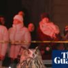 Sandbox Films donosi dokumentarac o Flaco the Owl i njegovom uticaju na Njujork