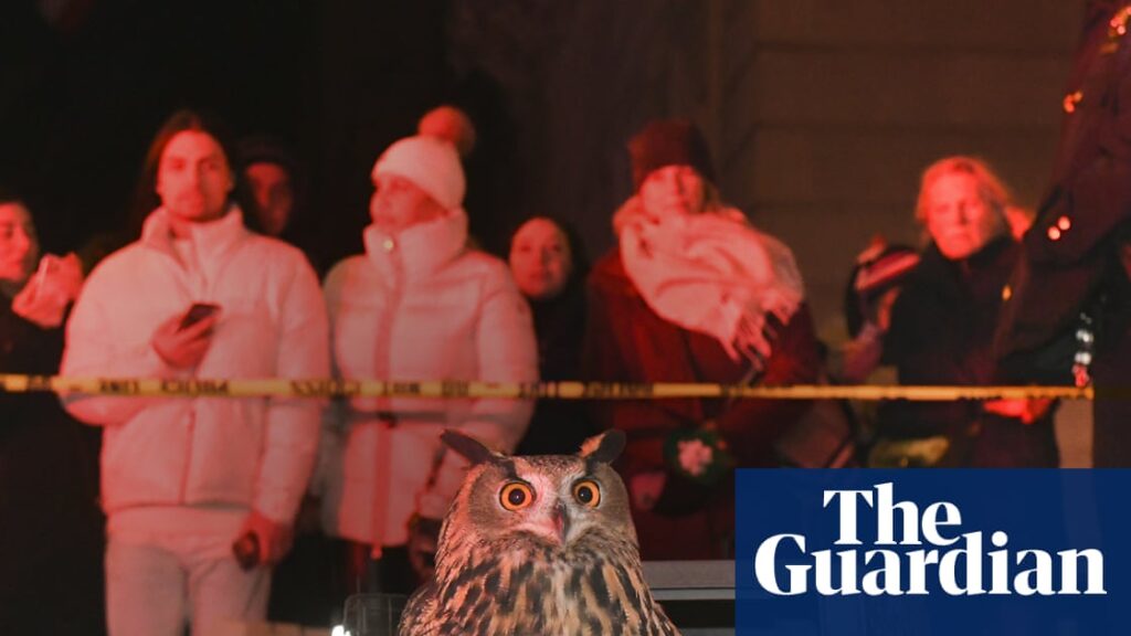 Sandbox Films donosi dokumentarac o Flaco the Owl i njegovom uticaju na Njujork