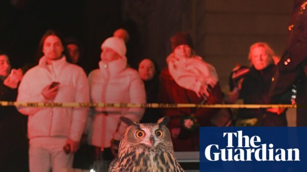 Sandbox Films donosi dokumentarac o Flaco the Owl i njegovom uticaju na Njujork