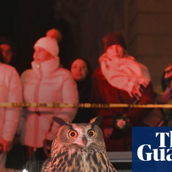 Sandbox Films donosi dokumentarac o Flaco the Owl i njegovom uticaju na Njujork