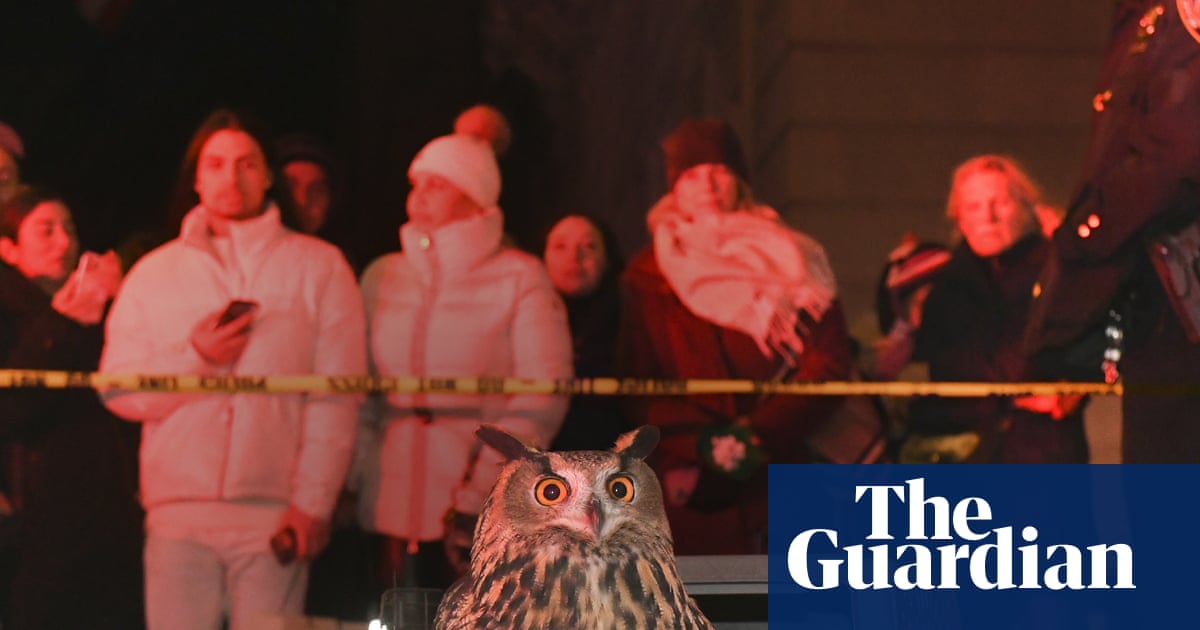 Sandbox Films donosi dokumentarac o Flaco the Owl i njegovom uticaju na Njujork
