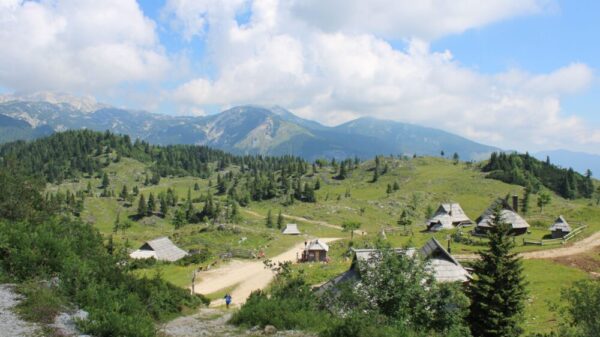 Dokumentarac Planina započinje takmičarski program na Sarajevo Film Festivalu – takmičenje dokumentaraca