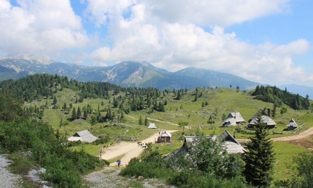 Dokumentarac Planina započinje takmičarski program na Sarajevo Film Festivalu – takmičenje dokumentaraca