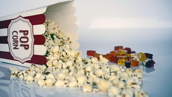 popcorn, movie theater, theatre, food, corn, snack, salty, yummy, striped, salted, gummy bear, popcorn, popcorn, popcorn, popcorn, popcorn, movie theater, theatre, corn