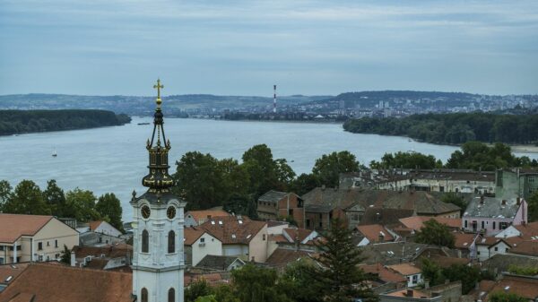 Zemun fest prikazuje filmove sa prestižnih festivala od 19. avgusta – Zemun fest filmovi