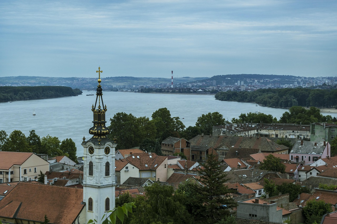 Zemun fest prikazuje filmove sa prestižnih festivala od 19. avgusta – Zemun fest filmovi