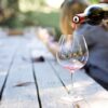 Letnje večeri vina u Botaničkoj bašti 22. i 23. avgusta u Beogradu – Wine Garden Beograd