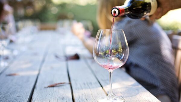 Letnje večeri vina u Botaničkoj bašti 22. i 23. avgusta u Beogradu – Wine Garden Beograd
