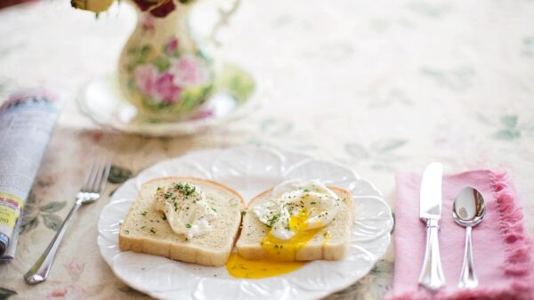 Brunch festival na Kalemegdanu okuplja S.A.R.S, Zoster i Mostar Sevdah Reunion – Brunch festival Beograd