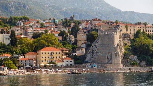 Bojan Stijović i Kosara Mitić predstavljaju filmove na festivalu Herceg Novi, fokus na agresiju među mladima – agresija među mladima