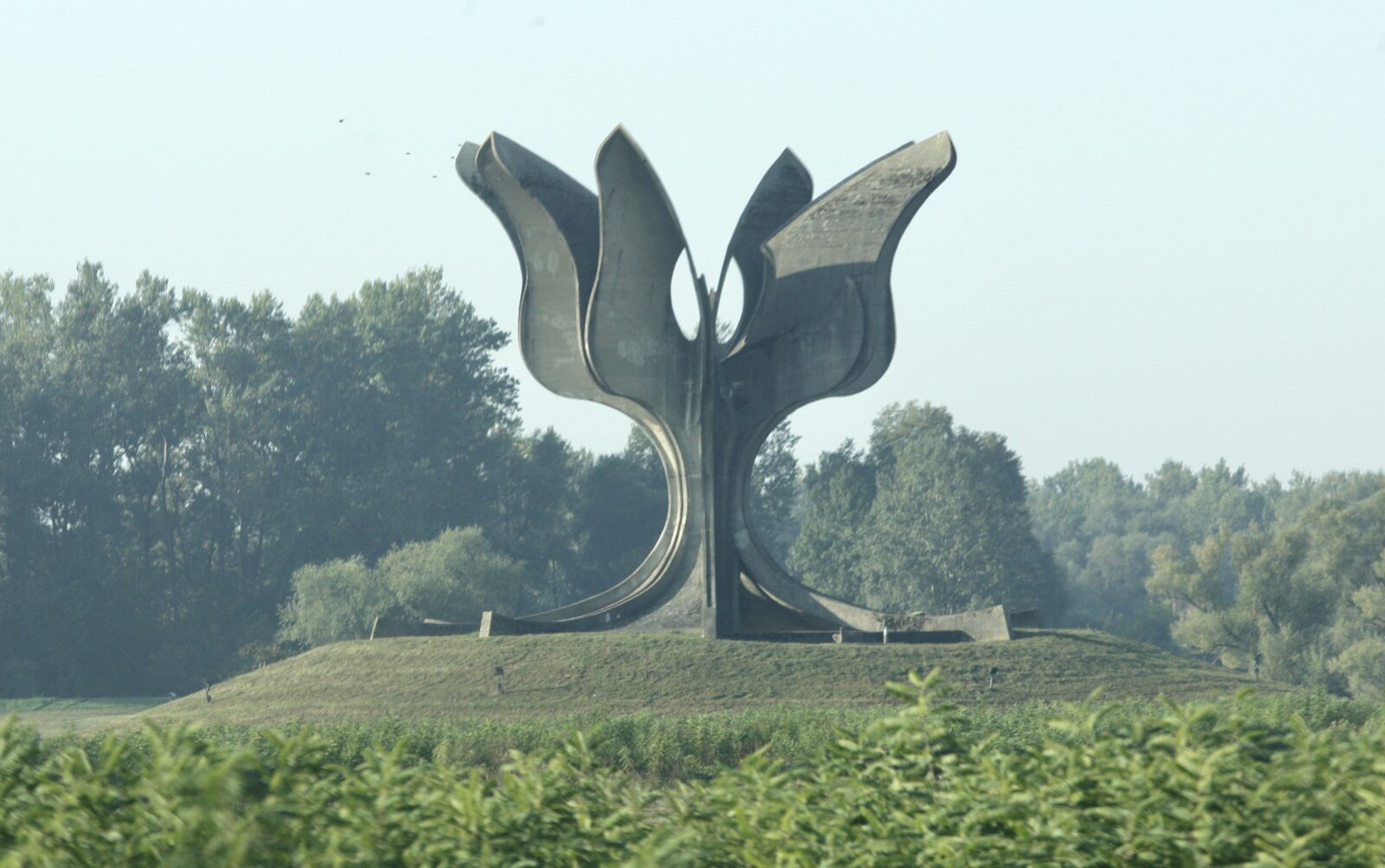 Jasenovac, spomenik kameni cvet