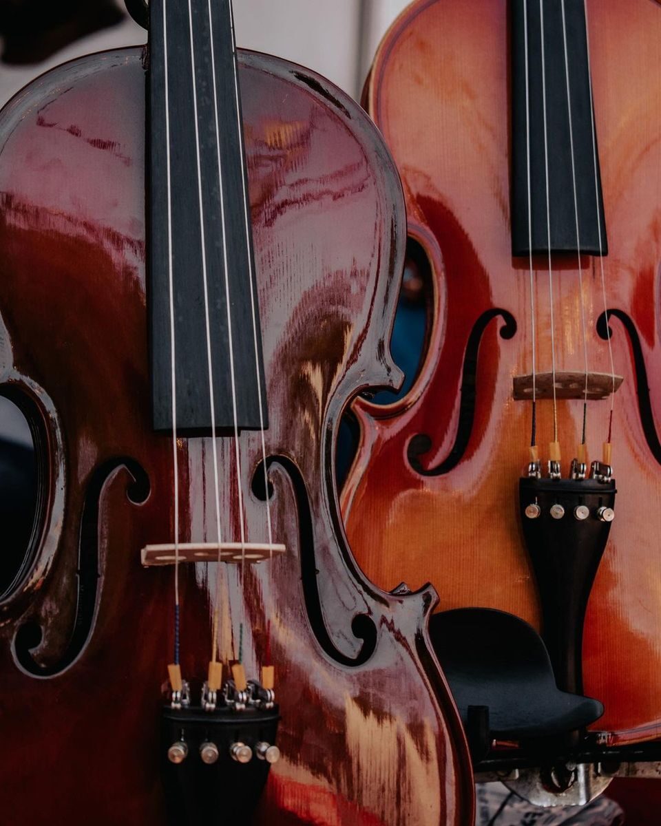 Detailed close-up of two violins showcasing their glossy wooden surfaces and strings.