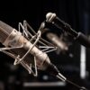 Nova muzička sezona: Musicology Sessions najavljuje atraktivne koncerte u Beogradu – Nik Vest Musicology Sessions