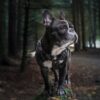 Hit filmovi povećali broj posetilaca u francuskim bioskopima tokom avgusta – francuski bioskopi