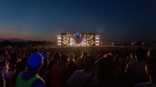 Avicii i uticaj elektronske muzike: Produkcija, saradnje i posledice slave (VIDEO) – Avicii nastup festival