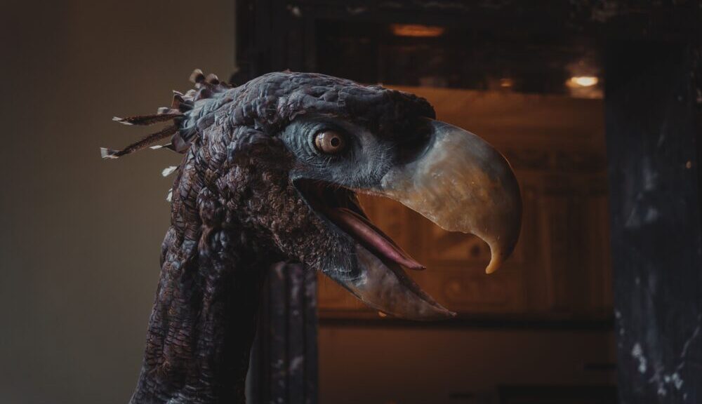 Ptičje pero iz doba dinosaurusa otkriveno na tlu SAD