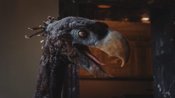 Ptičje pero iz doba dinosaurusa otkriveno na tlu SAD