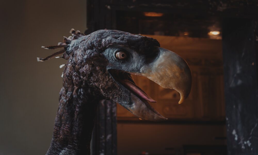 Ptičje pero iz doba dinosaurusa otkriveno na tlu SAD