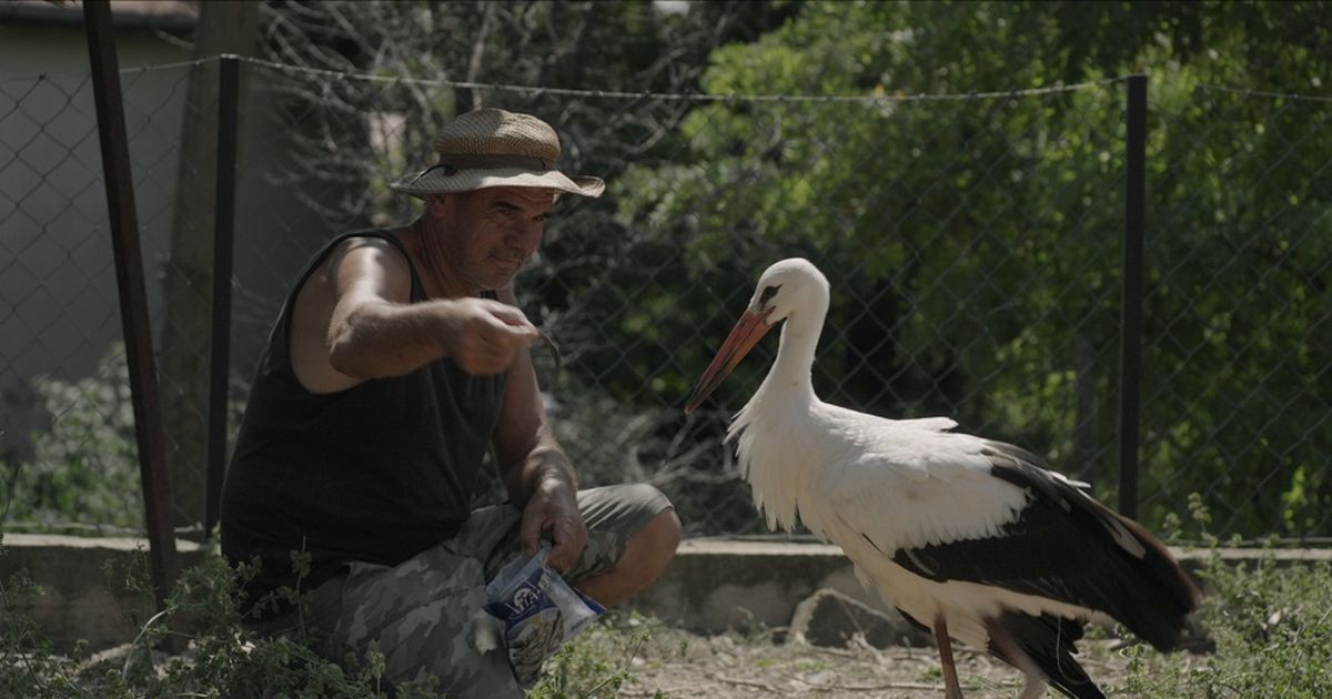 Tamara Kotevska otvara Martovski festival filmom 'Priča o Silijanu' u Domu omladine (VIDEO)