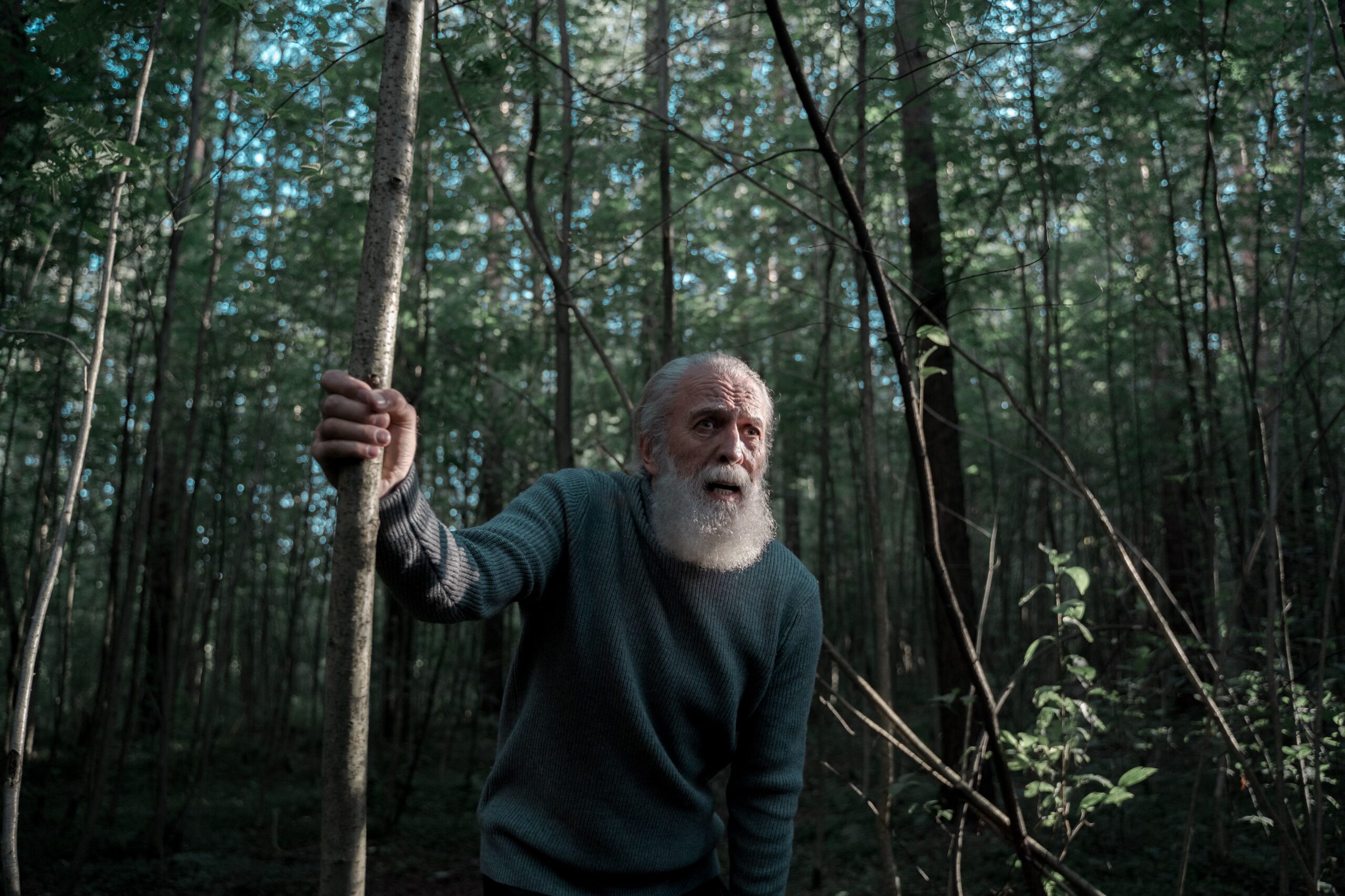 Ian Mekelen se vraća kao Gandalf u filmu 'Lov na Goluma', snimanje u toku – Ian Mekelen Gandalf Lov na Goluma