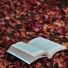 An open book lying on a bed of vibrant autumn leaves, creating a cozy fall setting.