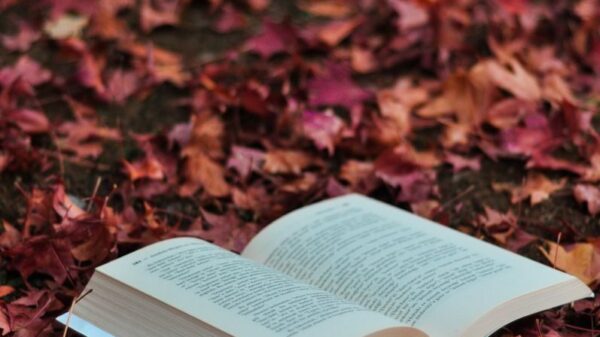 An open book lying on a bed of vibrant autumn leaves, creating a cozy fall setting.